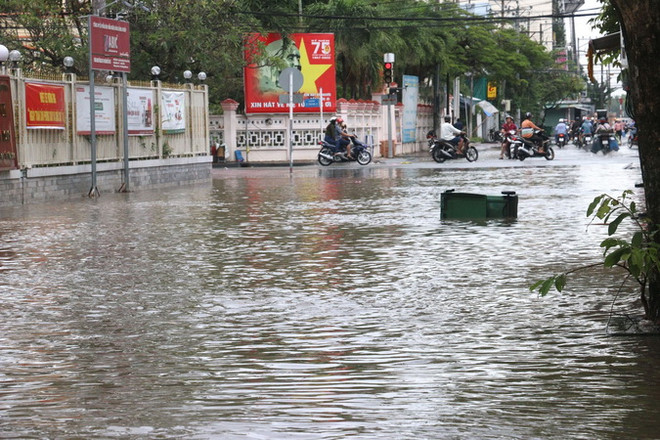 Triều cường lên cao gây ngập nhiều nơi tại tỉnh Vĩnh Long ảnh 1
