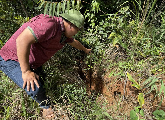 ttxvn_sat lo doi thong (5).jpg