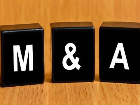 Cơ hội M&A trên thị trường Việt Nam: Gia tăng giá trị thương hiệu ảnh 1