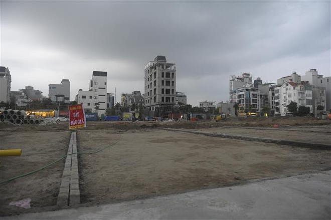 ttxvn_1311_dau gia dat.jpg