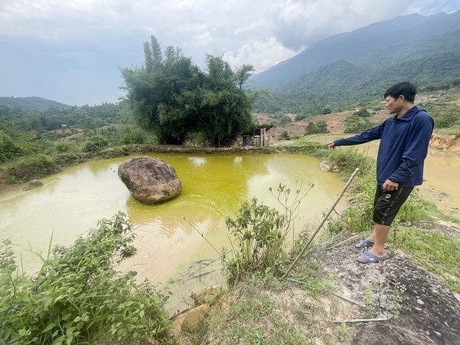 Ao cá phải bỏ hoang của hộ gia đình anh Tao Văn Hung, bản Phiêng Chá, sau khi cá bị chết hết do nguồn nước bị ô nhiễm. (Ảnh: Nguyễn Oanh-TTXVN) ttxvn_2705_mu cao su (6).jpg