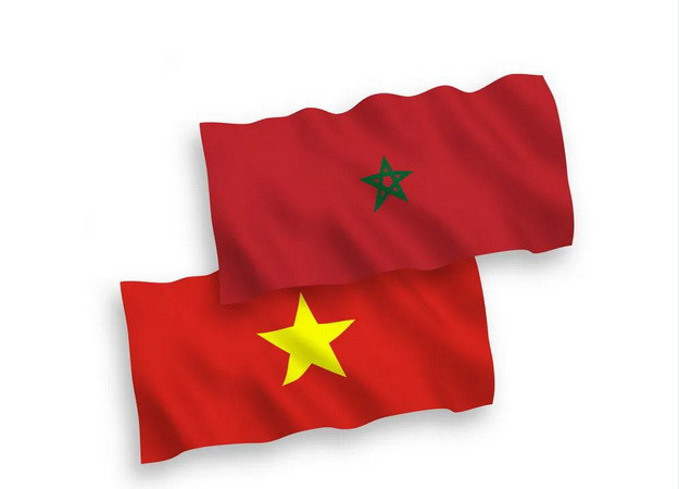 Việt Nam cùng Maroc thúc đẩy hợp tác tài chính và ngân hàng ảnh 1
