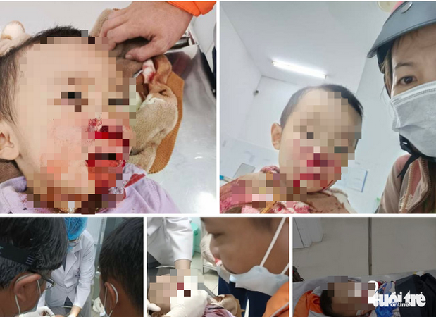 Tiền Giang: Xác minh, làm rõ thông tin "cảnh sát giao thông đánh dân" ảnh 1