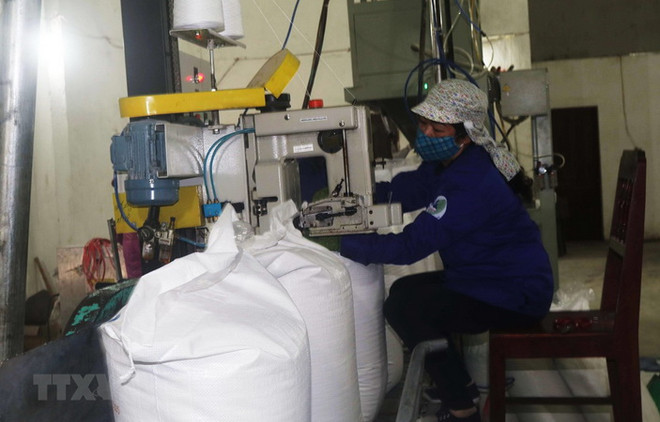 Lượng hạn ngạch thuế nhập khẩu với đường theo phương thức đấu giá ảnh 1