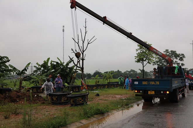 Vĩnh Phúc: Cưỡng chế các hộ dân vi phạm Luật Đất đai tại điểm "nóng" ảnh 1