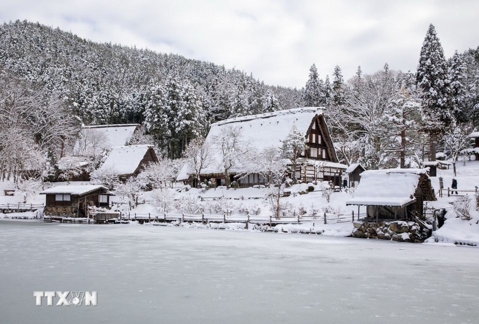 Làng cổ Hida phủ đầy tuyết trắng nằm ngay trong trung tâm Takayama. (Ảnh: Xuân Giao/TTXVN)