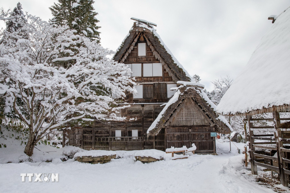 Những ngôi nhà cổ được bảo tồn nguyên vẹn giữa thành phố Takayama. (Ảnh: Xuân Giao/TTXVN)