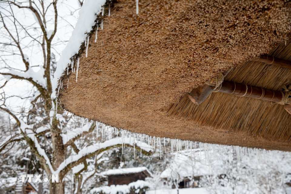 Mái tranh dày nhiều lớp giúp người dân Hida cổ chống chọi thời tiết khắc nghiệt trên vùng núi cao. (Ảnh: Xuân Giao/TTXVN)