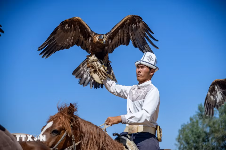 Màn trình diễn săn đại bàng tại lễ hội dân gian ở làng Bokonbaevo, Kyrgyzstan, ngày 1/8/2026. (Ảnh: THX/TTXVN phát)