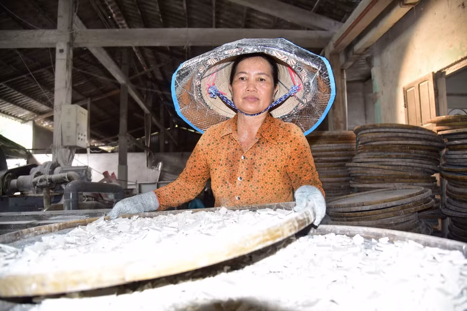 Chị Huỳnh Thị Hồng Nga hứng bột vào nia, dàn đều rồi đem phơi nắng. (Ảnh: Đức Hạnh/TTXVN)