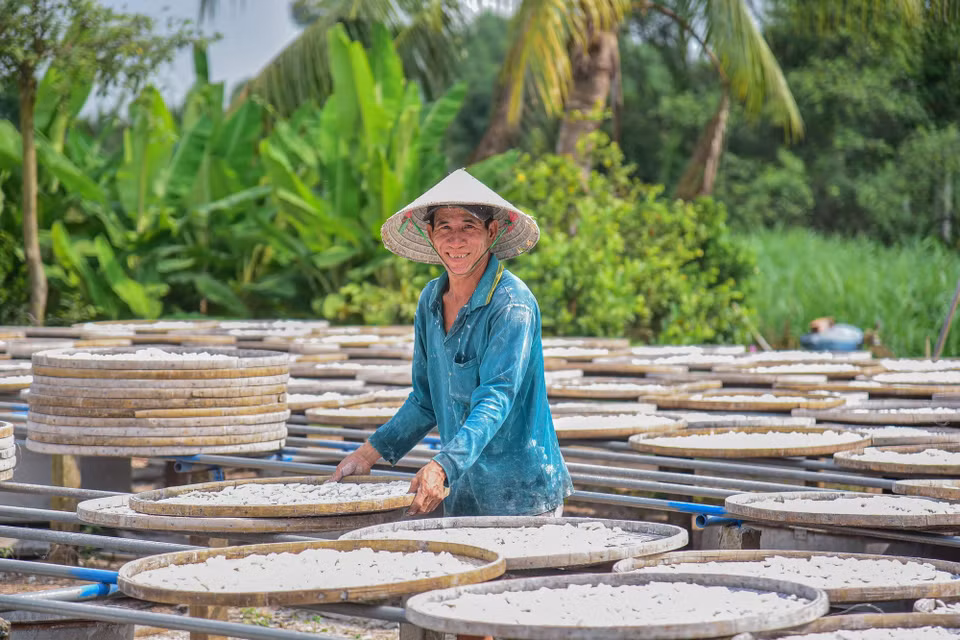 Nhân công đang phơi bột dưới trưa nắng tháng tư. (Ảnh: Đức Hạnh/TTXVN)
