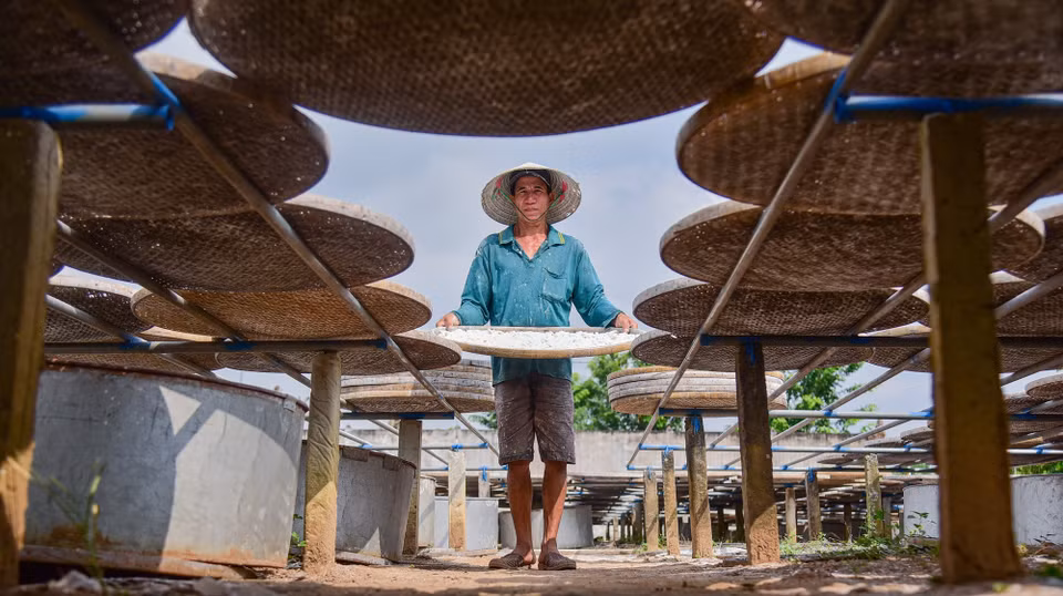 Nhân công đang phơi bột dưới trưa nắng tháng tư. (Ảnh: Đức Hạnh/TTXVN)