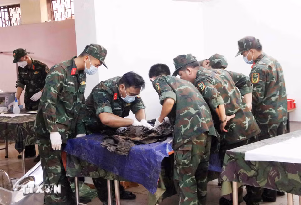 Công tác cất bốc hài cốt liệt sỹ được tiến hành cẩn trọng, chu đáo. (Ảnh: Xuân Khu/TTXVN)