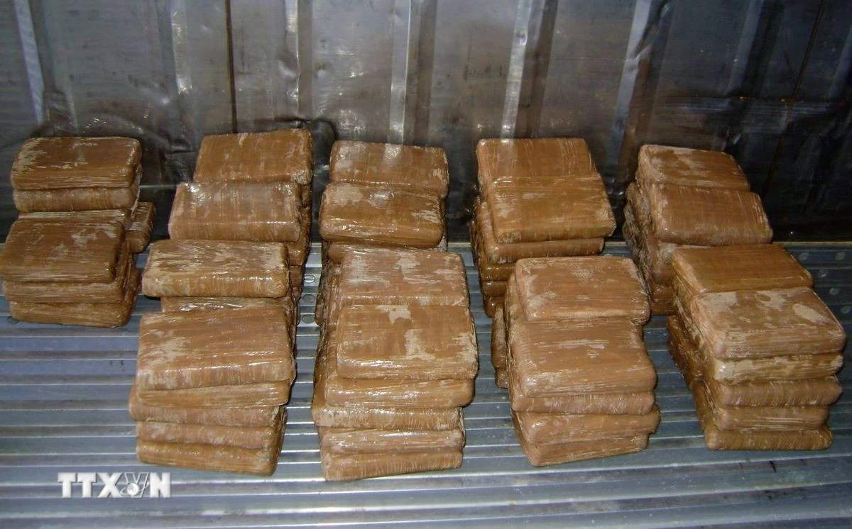 Mexico thu giữ hơn 2 tấn cocaine ngoài khơi bang Oaxaca