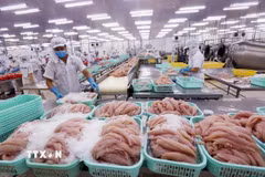 Việc Hoa Kỳ chính thức công nhận tương đương hệ thống kiểm soát an toàn thực phẩm cá da trơn của Việt Nam xuất khẩu sang Mỹ giúp cá tra Việt Nam dễ dàng hơn trong việc tiếp cận và mở rộng thị trường. (Ảnh: TTXVN)
