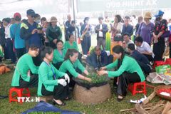 Đông đảo du khách thập phương tham quan và trải nghiệm sao chè bằng phương pháp thủ công truyền thống. (Ảnh: Quân Trang/TTXVN)