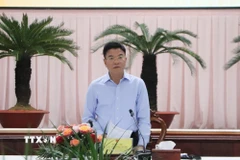Phó Thủ tướng Lê Thành Long phát biểu tại buổi làm việc. (Ảnh: Hồng Thái/TTXVN)