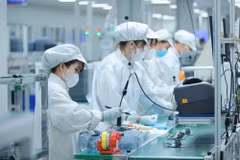 Việt Nam đã và đang triển khai chiến lược đào tạo nhân lực chất lượng cao ngành công nghiệp bán dẫn. (Ảnh minh họa. Hoàng Hiếu/TTXVN)