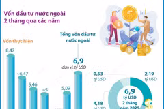Hai tháng đầu năm: Tổng vốn FDI đăng ký vào Việt Nam tăng 35,5%