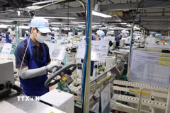 Hoạt động sản xuất tại Chi nhánh Công ty Trách nhiệm hữu hạn Toyoda Gosei Hải Phòng, Khu công nghiệp Tiền Hải, huyện Tiền Hải, tỉnh Thái Bình. (Ảnh: Thu Hoài/TTXVN)