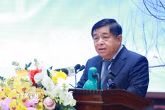Bộ trưởng Bộ Kế hoạch và Đầu tư Nguyễn Chí Dũng. (Ảnh: Dương Giang/TTXVN)