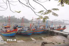 Thuyền cá của ngư dân tỉnh Nghệ An neo đậu ở các bến, bãi trên các luồng, lạch. (Ảnh: Xuân Tiến/TTXVN)