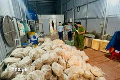 Lực lượng chức năng kiểm tra 3 kho lạnh tại huyện Phú Xuyên, thành phố Hà Nội. (Ảnh: TTXVN phát)