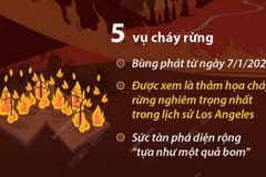 Cháy rừng tại Mỹ: Thiệt hại ước tính gần 150 tỷ USD