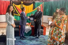 Đại sứ Việt Nam tại Australia kiêm nhiệm Vanuatu Phạm Hùng Tâm và phu nhân (trái) trong Lễ trình quốc thư. (Ảnh: TTXVN phát)
