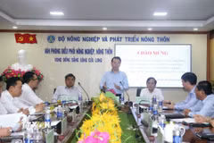 Bộ trưởng Bộ Nông nghiệp và Môi trường Đỗ Đức Duy chỉ đạo lãnh đạo ngành nông nghiệp và môi trường các tỉnh, thành vùng Đồng bằng sông Cửu Long ổn định mô hình, tổ chức bộ máy theo mô hình bộ máy mới. (Ảnh: Thu Hiền/TTXVN)