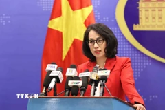 Người phát ngôn Bộ Ngoại giao Phạm Thu Hằng chủ trì họp báo. (Ảnh: An Đăng/TTXVN)