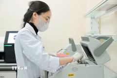 Nhân viên y tế làm xét nghiệm PCR. (Ảnh minh họa: Minh Quyết/TTXVN)