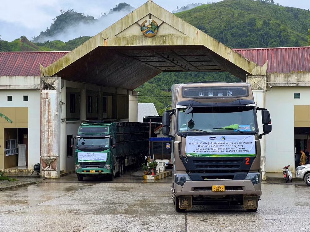Vinamilk nhập 1.000 bò sữa HF từ Mỹ về tổ hợp trang trại tại Lào ảnh 5