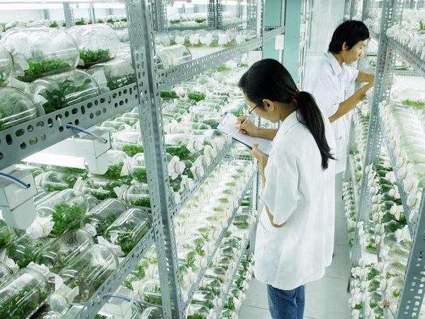 Đại sứ Israel: Việt Nam đã thành công lớn trong nỗ lực chống COVID-19 ảnh 3