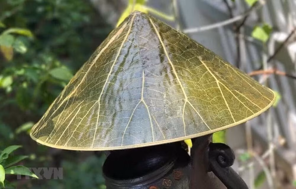 Thầy thuốc đông y lần đầu phô diễn tài năng tại Festival nghề Huế ảnh 1