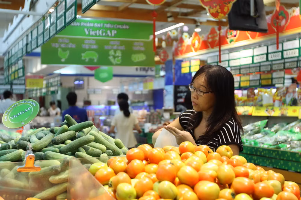 Thương mại phía Nam kết nối cung cầu, hợp tác phát triển ảnh 2