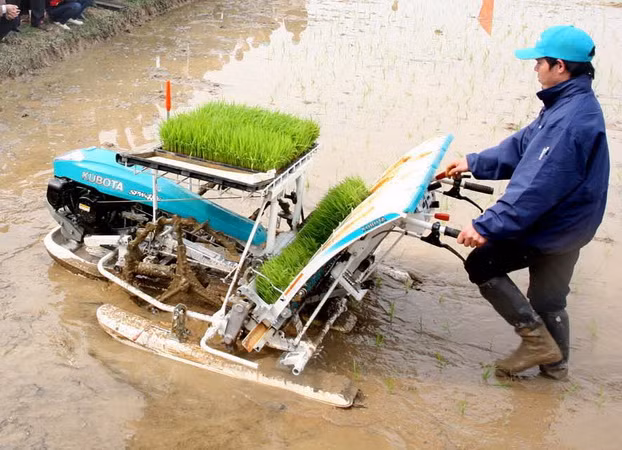 Hà Nội vẫn là "vùng trũng" về cơ giới hóa trong nông nghiệp ảnh 1