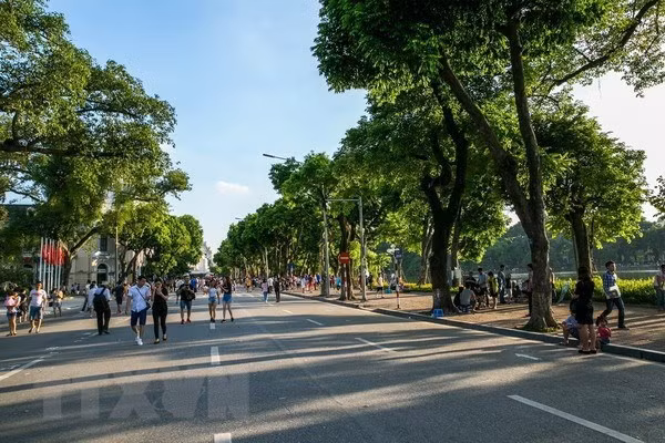 Bắc Bộ xuất hiện nắng ấm, Nam Bộ chiều tối có mưa dông ảnh 1