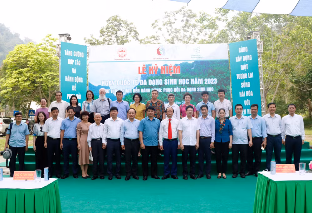 Thả cá giống vào hồ Ba Bể bảo vệ 'lá phổi xanh’ nơi đại ngàn Việt Bắc ảnh 1
