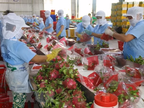 Xuất khẩu trái cây Việt: Tìm cách 'mở cửa' các thị trường giá trị cao ảnh 1