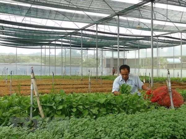 Liên kết vùng, ứng dụng khoa học phát triển sản phẩm chủ lực ảnh 1