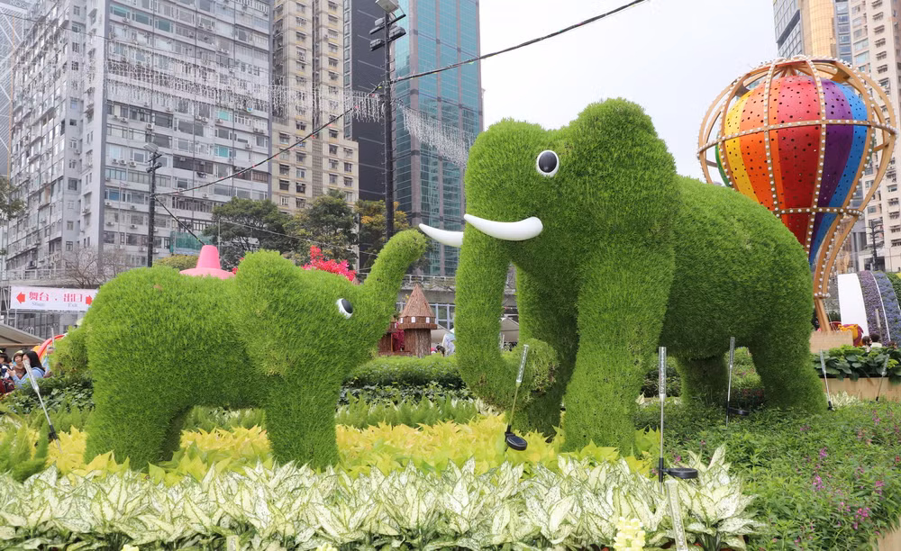 trien lam hoa hong kong2.jpg