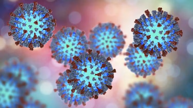 Mô hình 3D cấu trúc nguyên tử của nhóm virus gây bệnh truyền nhiễm ảnh 1