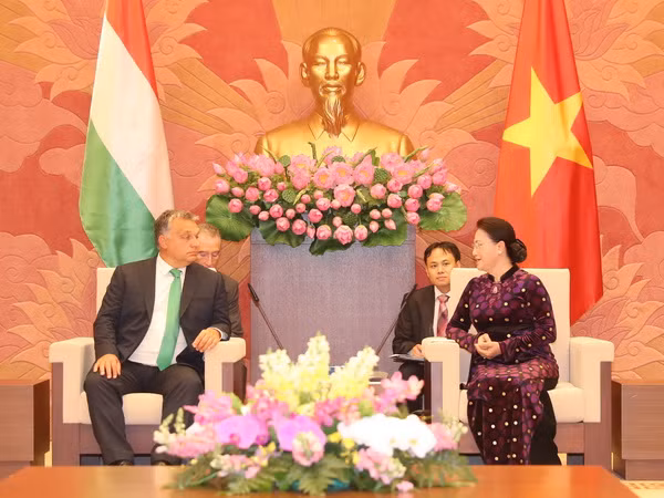 Chủ tịch Quốc hội Nguyễn Thị Kim Ngân tiếp Thủ tướng Hungary ảnh 1