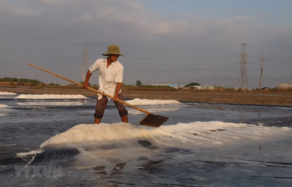 Bảo tồn nghề truyền thống Nam Bộ: Định vị sản phẩm du lịch ảnh 2