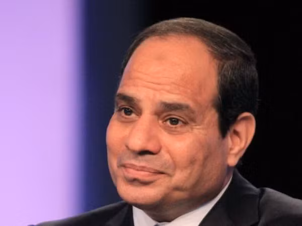 Ai Cập: Ông al-Sisi giành 94,5% phiếu cử tri nước ngoài ảnh 1