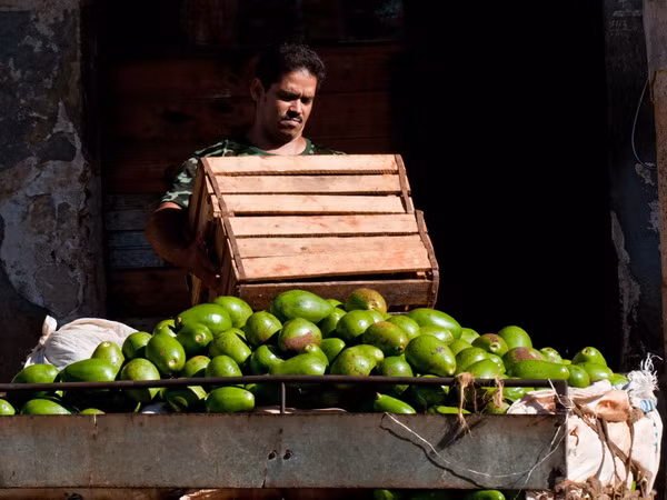 Chính phủ Cuba thảo luận các chương trình phát triển kinh tế ảnh 1