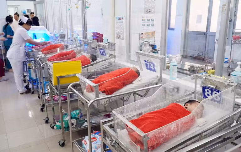 Việt Nam cam kết cho các ưu tiên quốc gia về sức khỏe sinh sản ảnh 1