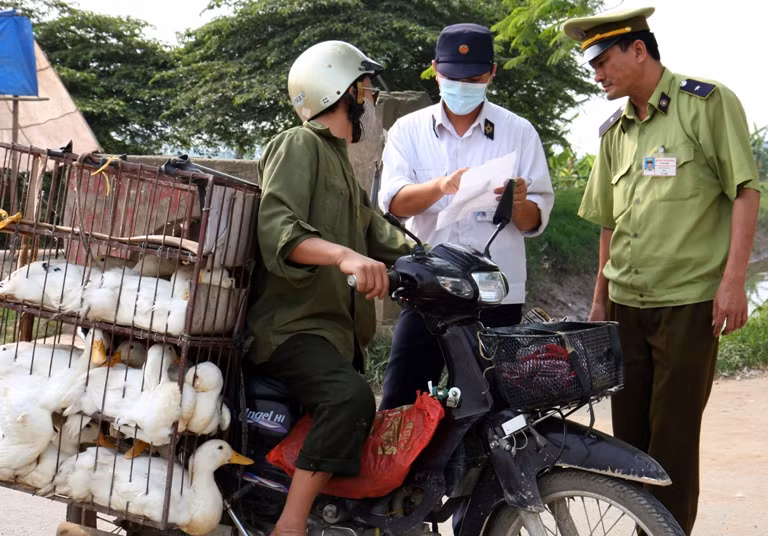 Ban hành quy định kiểm dịch Bet88013 com nổ hũ đối với nhiều hàng hóa ảnh 1