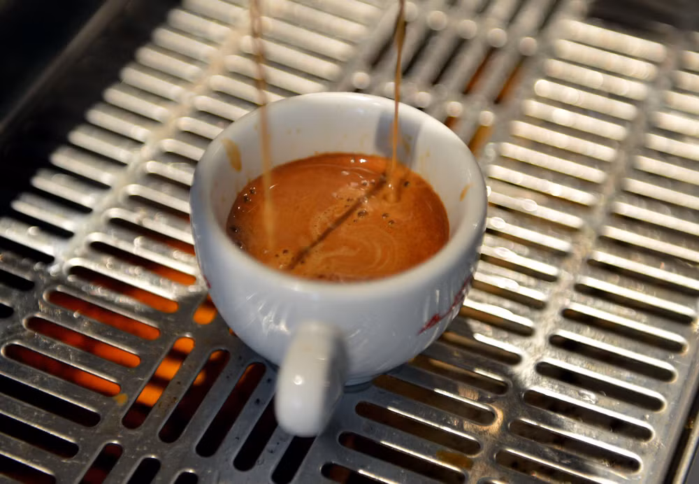 ttxvn-1212-cappuchino-531.jpg